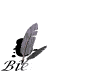 bienvenue01.gif